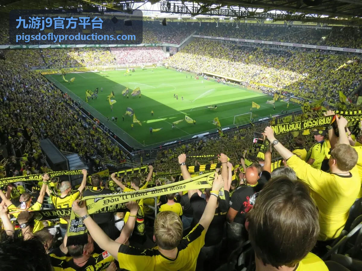 九游j9官方平台版本更新模块